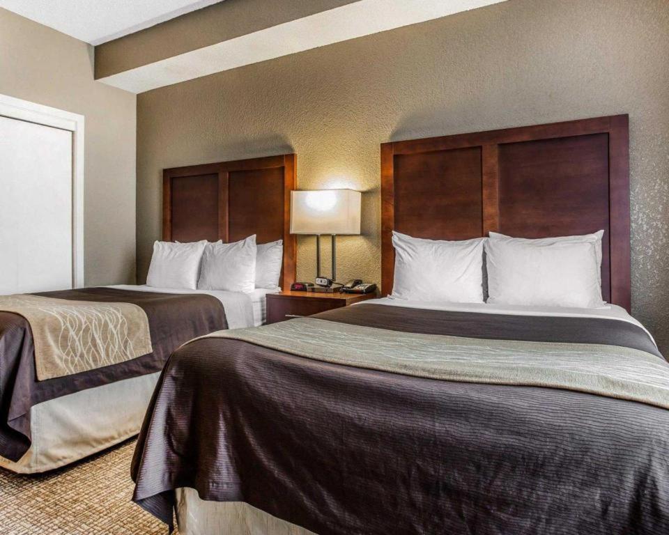 Comfort Inn & Suites Camden Eksteriør bilde