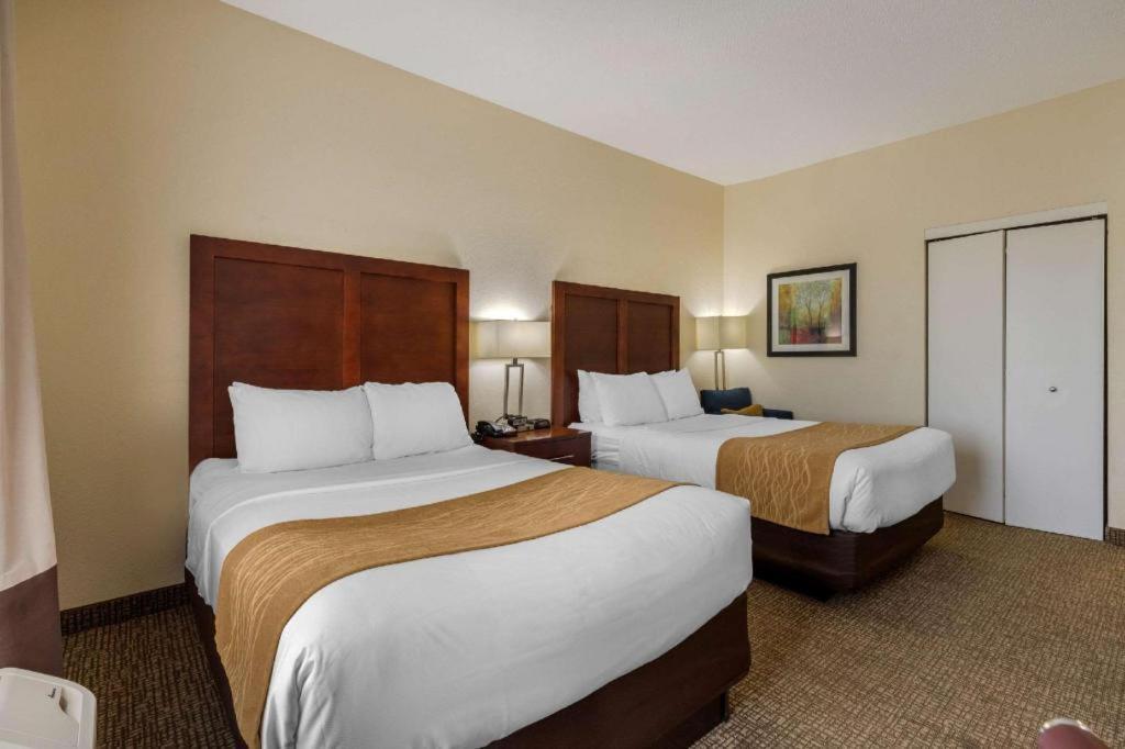 Comfort Inn & Suites Camden Eksteriør bilde